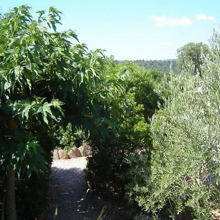 Stella D'oro * Porto-Vecchio